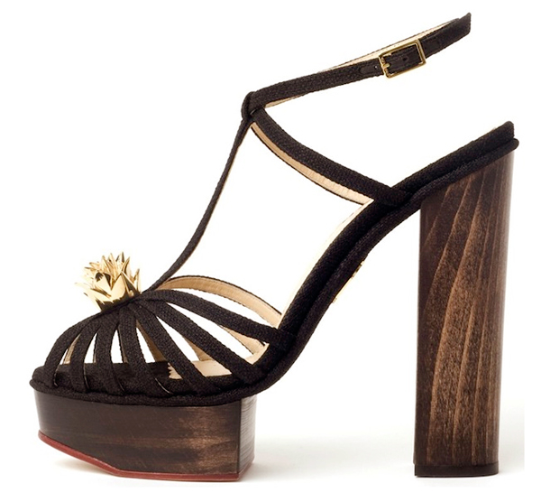 Chaussures pour femmes à la mode