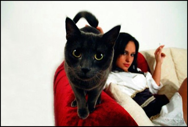 Catgirl et imprimé léopard