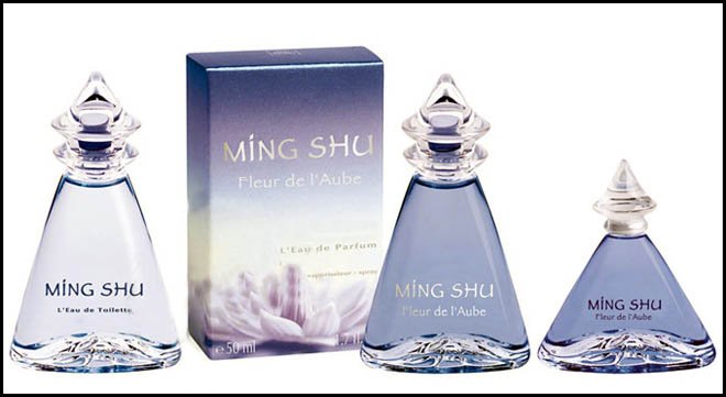 Mon introduction à Ming Shu par Yves Rocher