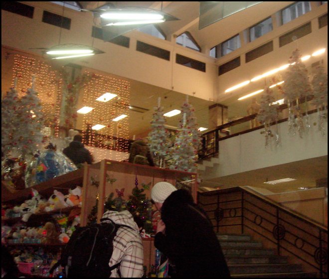 vitrines du nouvel an