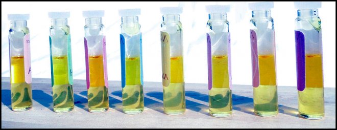 parfum d'huile pour fille