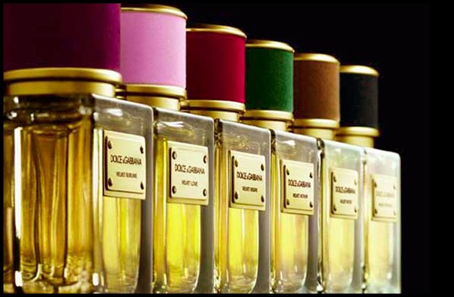 Parfum Dolce & Gabbana