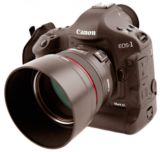 Photographe de mariage Katya Rashkevich