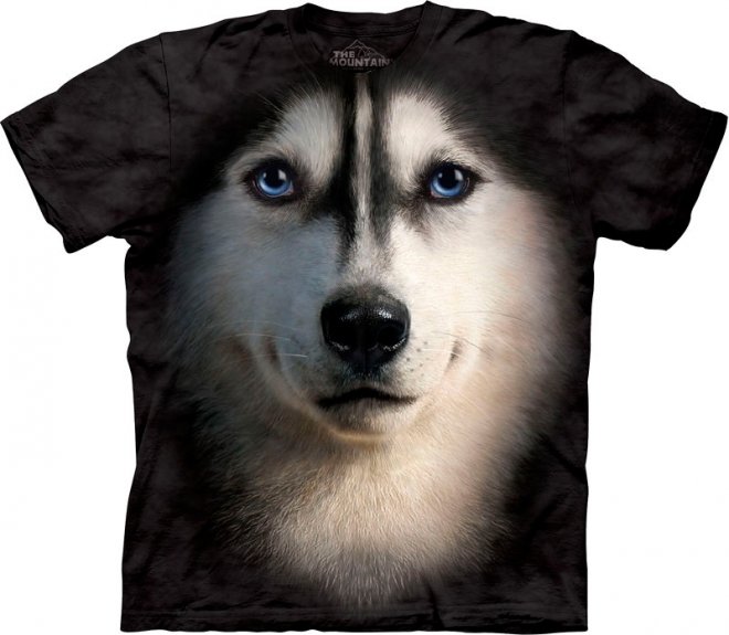 t-shirt chien