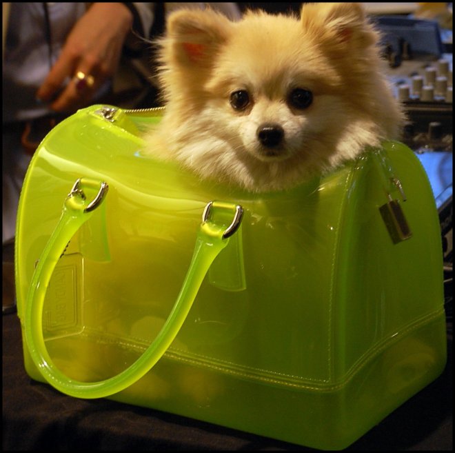 Sac à sucettes Furla Candy pour fille