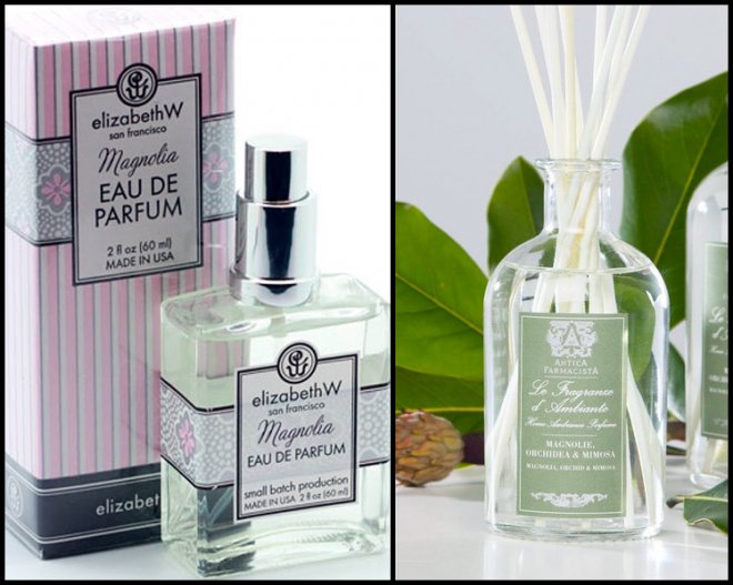 Parfumerie sélective au parfum de fleur de magnolia