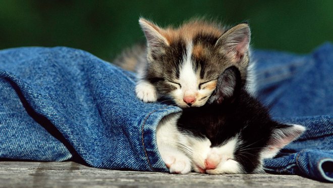 Comment bien entretenir son jean