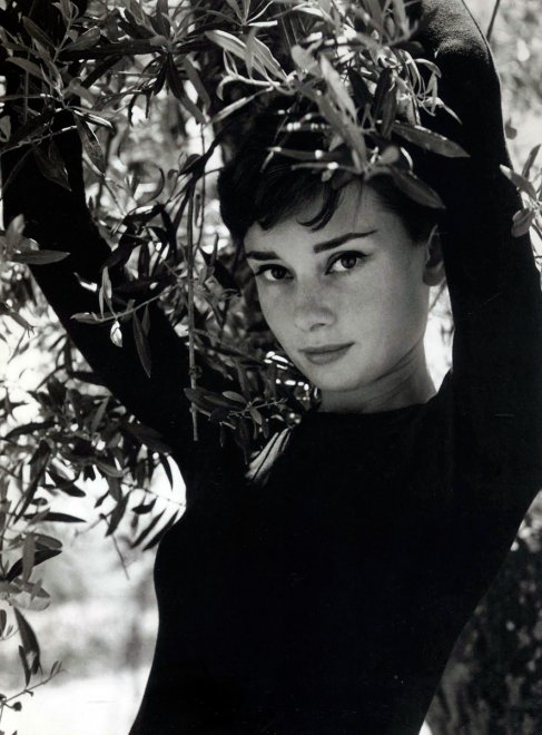 Photo de Philippe Halsman