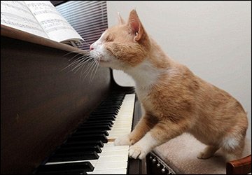 Sac de piano pour les filles créatives