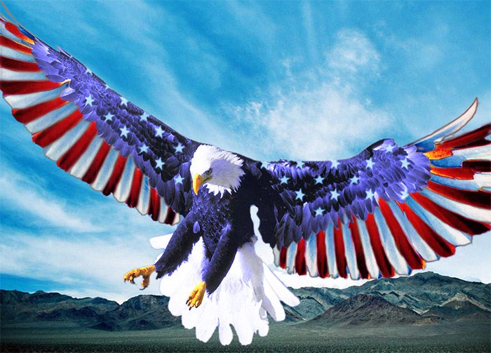 Immigration aux États-Unis