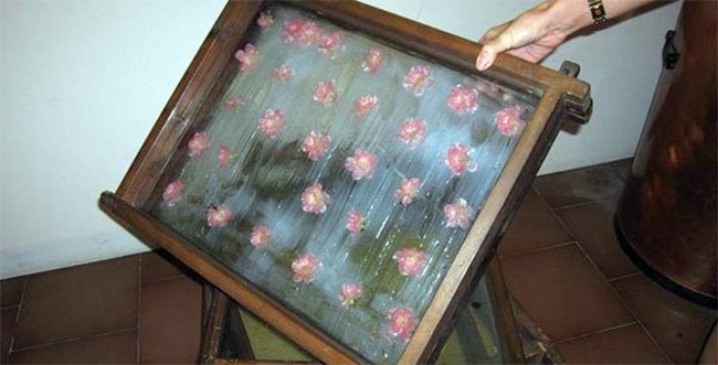 photo d'enflérissement