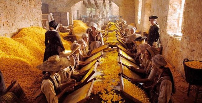 photo d'enflérissement