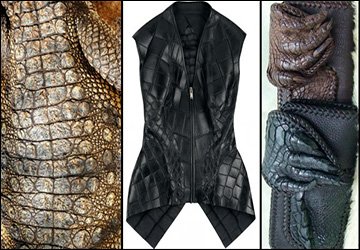 Traitement et produits du cuir de crocodile