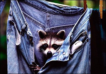 Règles d'entretien des jeans