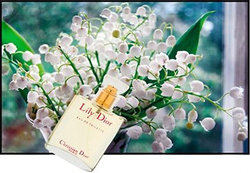 Muguet dans notre jardin et en parfumerie