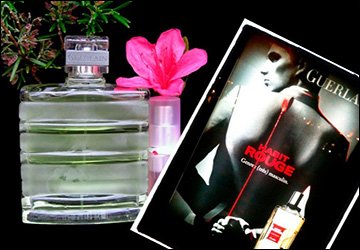 Les meilleurs parfums pour hommes