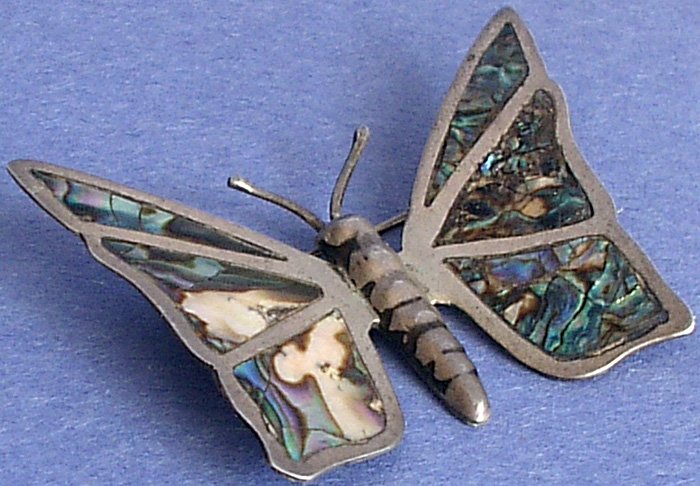 Photo de papillon d'argent