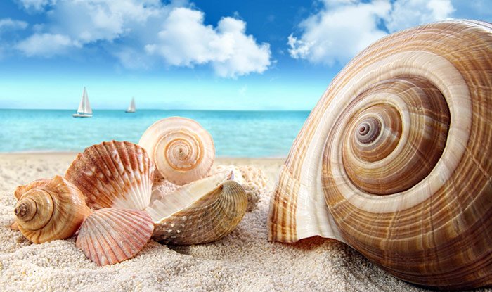 Vacances à la plage et notre photo beauté