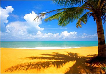 Les vacances à la plage et notre beauté