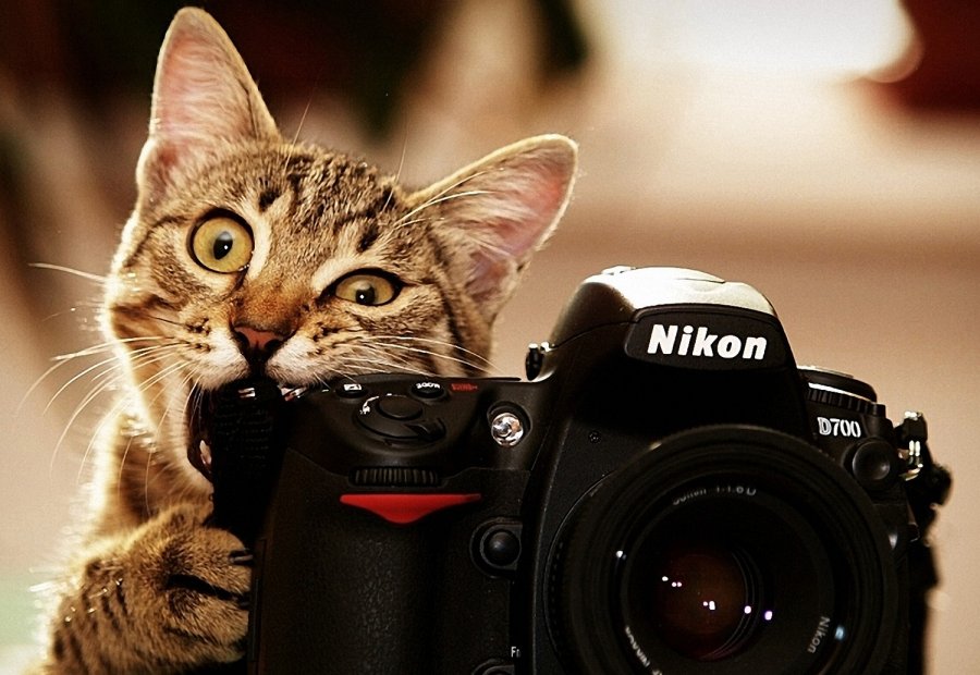 Photos des vacances de mai 2026