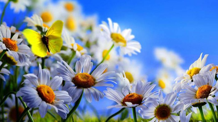 Les meilleurs parfums d'été pour les photos des femmes et des hommes