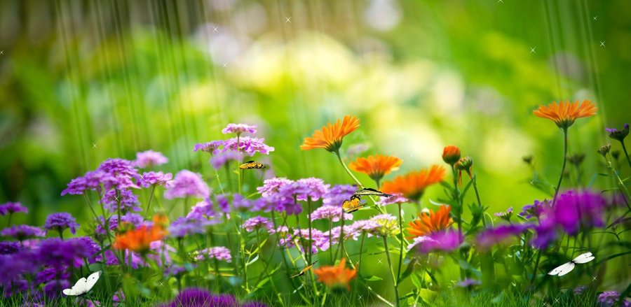 Les meilleurs parfums d'été pour les photos des femmes et des hommes