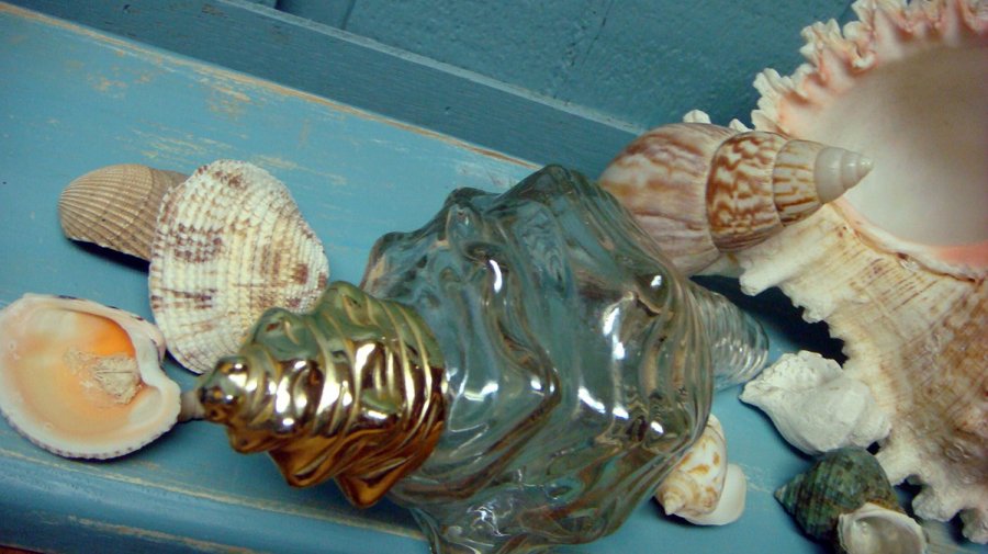 Style marin et senteurs marines en parfumerie