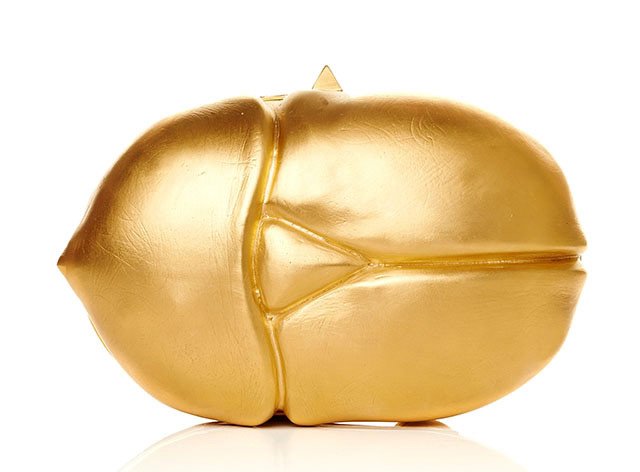 Pochette 2026, photo