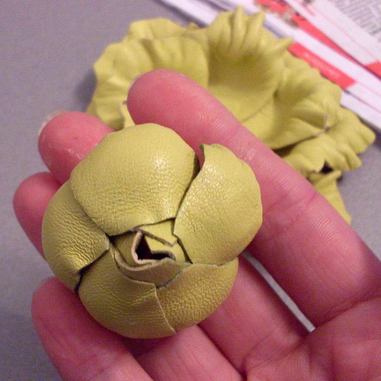 Classe de maître, photo