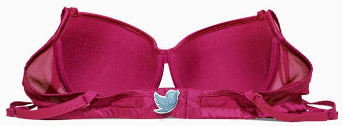 Soutien-gorge avec connexion Twitter, photo