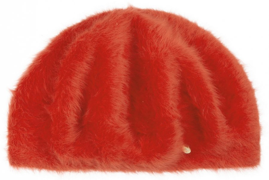 Mûrier 2025-2026, photo