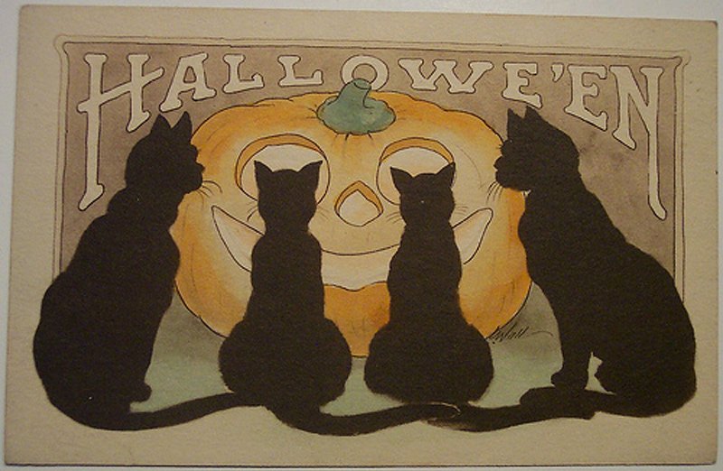 Chats noirs - carte postale ancienne