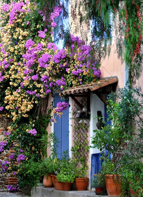 Fleurs et style provençal