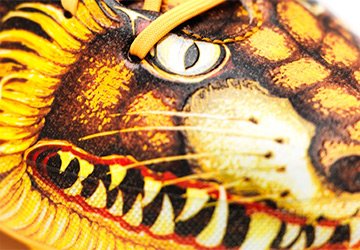 Chaussures brutales d'Adidas