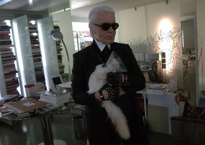 Collection chat et chat de Karl Lagerfeld
