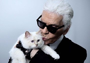 Collection chat par Karl Lagerfeld