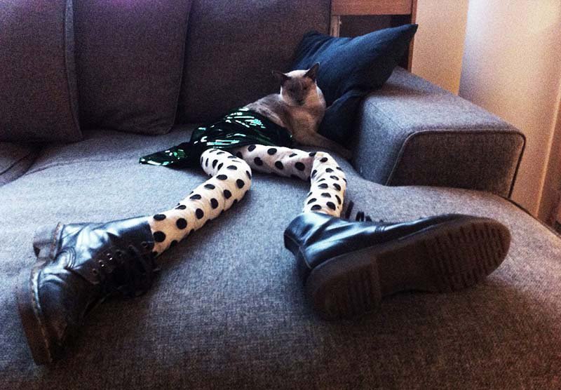 Séance photo de mode pour un chat