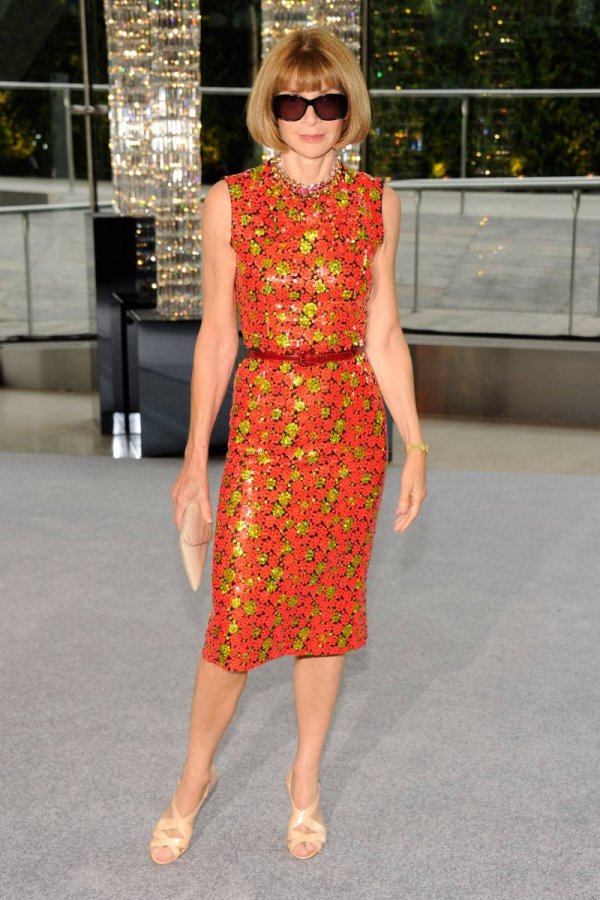 La belle robe d'Anna Wintour