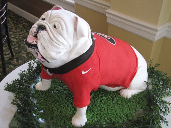 gâteau du nouvel an