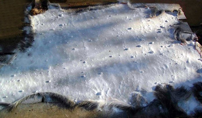 Traitement du cuir naturel et habillage des peaux