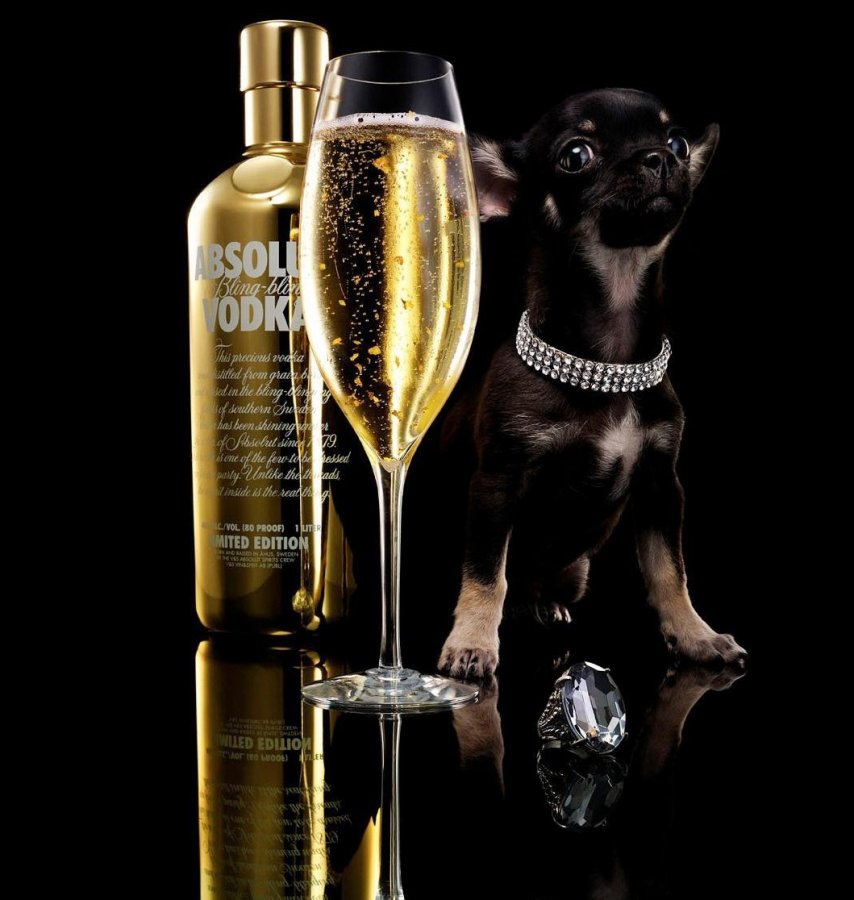 Divertissement et vie sociale