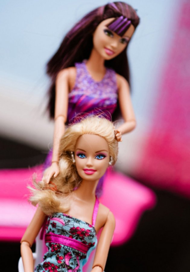 Mariage de poupée Barbie