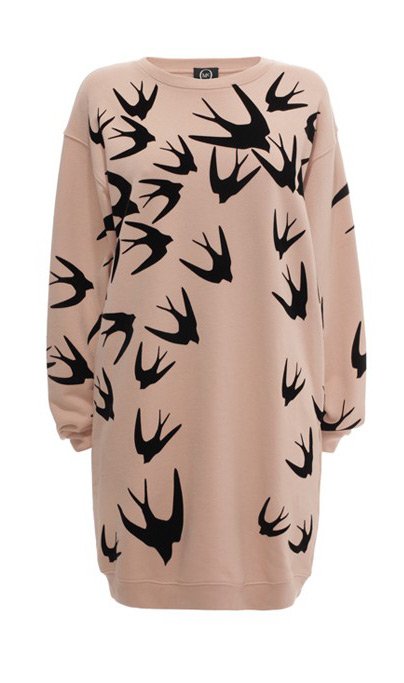 Gravures d'oiseaux 2026