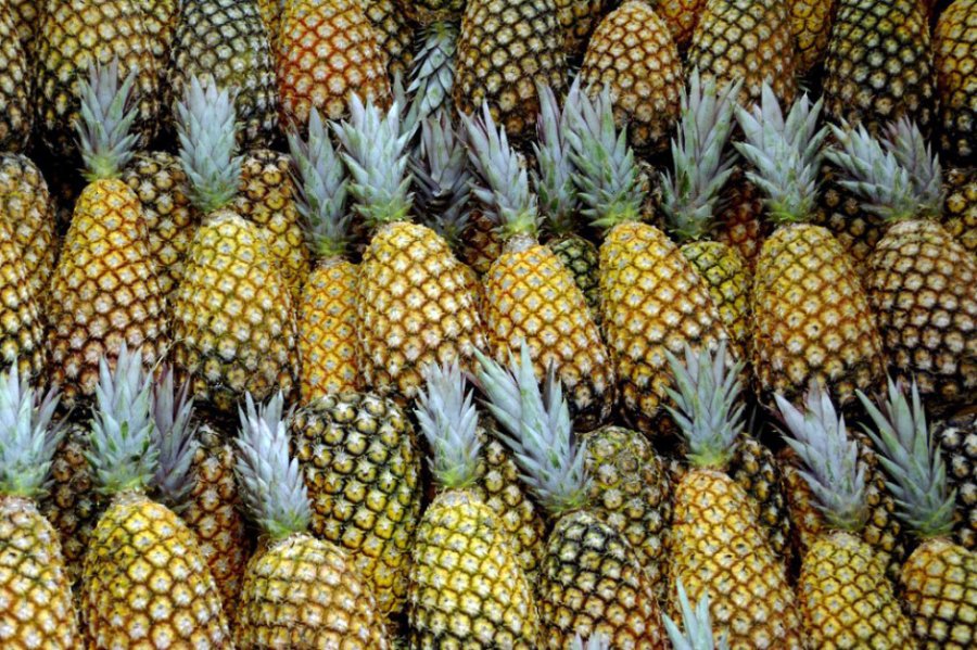 Ananas - photo