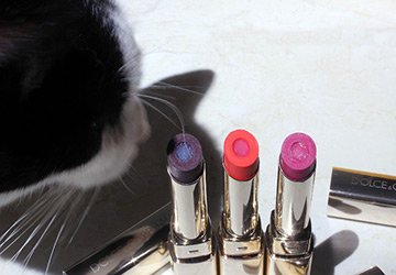 Ce que les lèvres peuvent dire