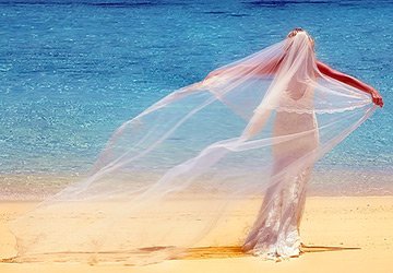 Robes de mariée 2026