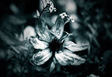 Quand vient la vieillesse