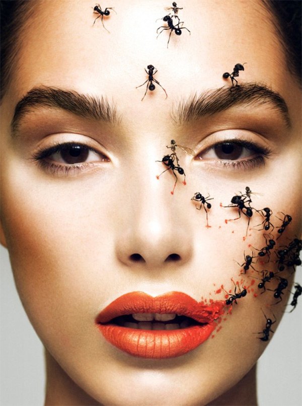 Raisons de pigmentation