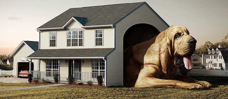 Cottage ou appartement en centre-ville - avantages et inconvénients