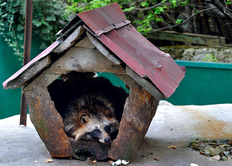 Sécurité et sûreté d'une maison privée